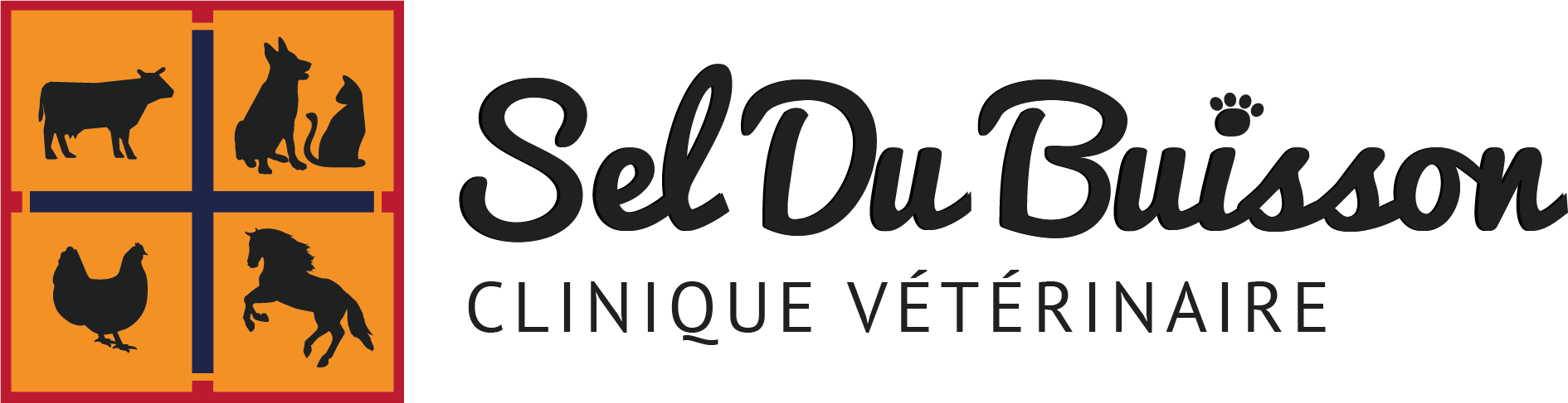 Sel Du Buisson - Clinique Vétérinaire